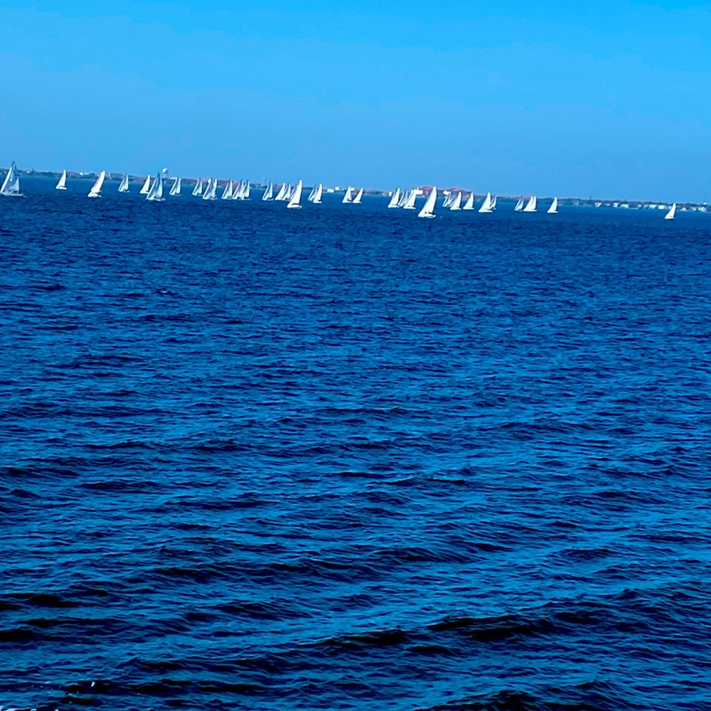 Meet your Posher, Gia